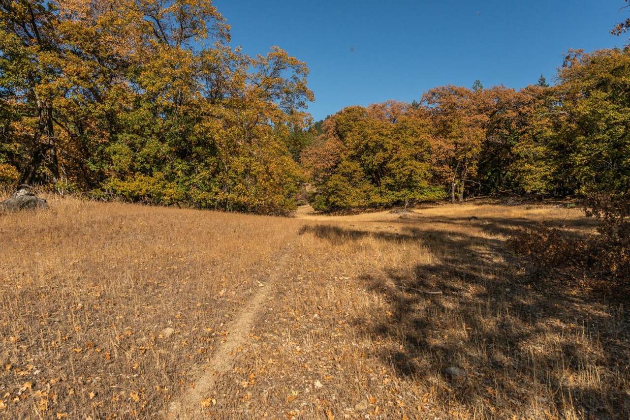 4511 Hennessey Road - Photo 1