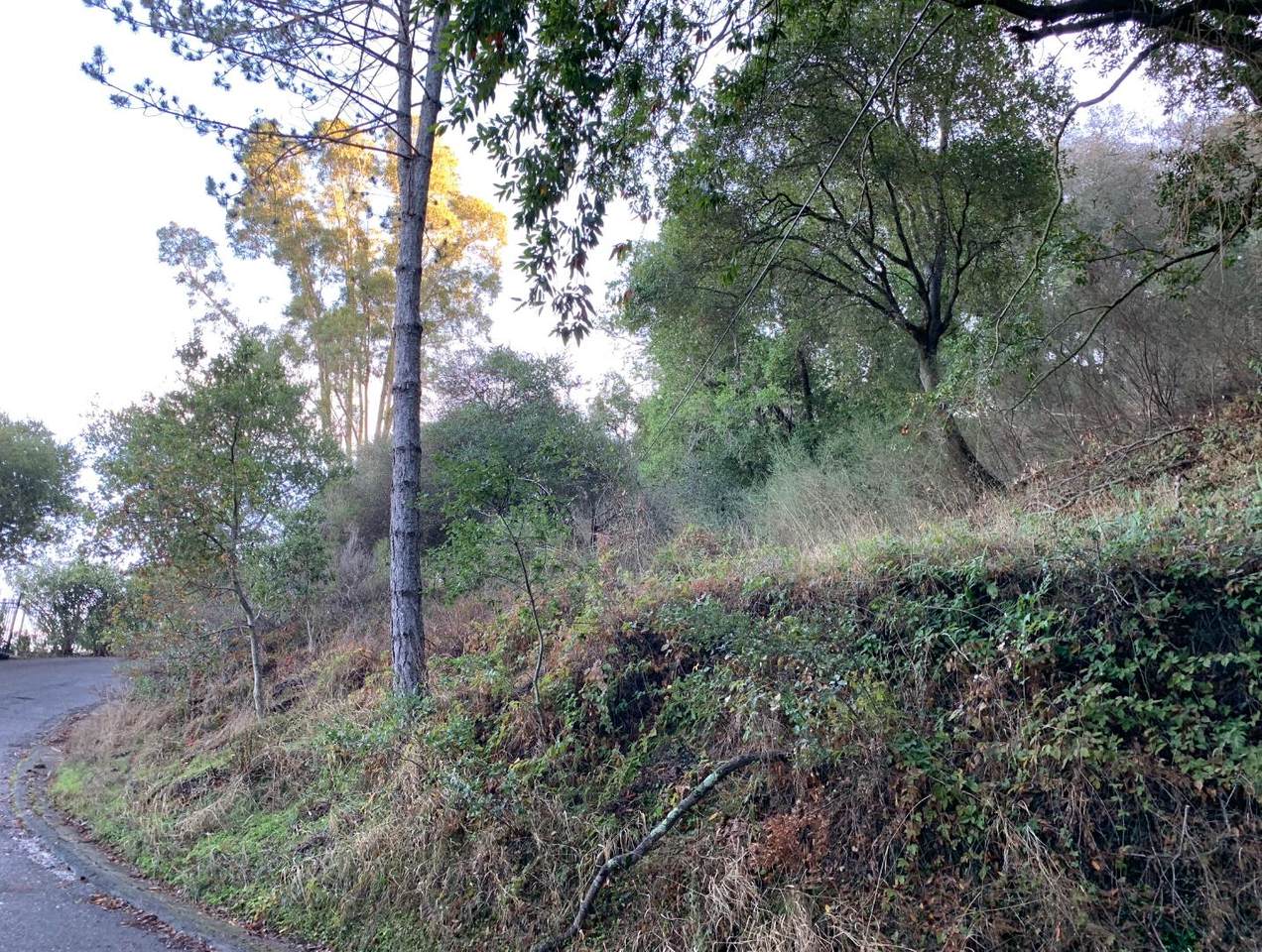 0 Blackberry Hill Road - Photo 1