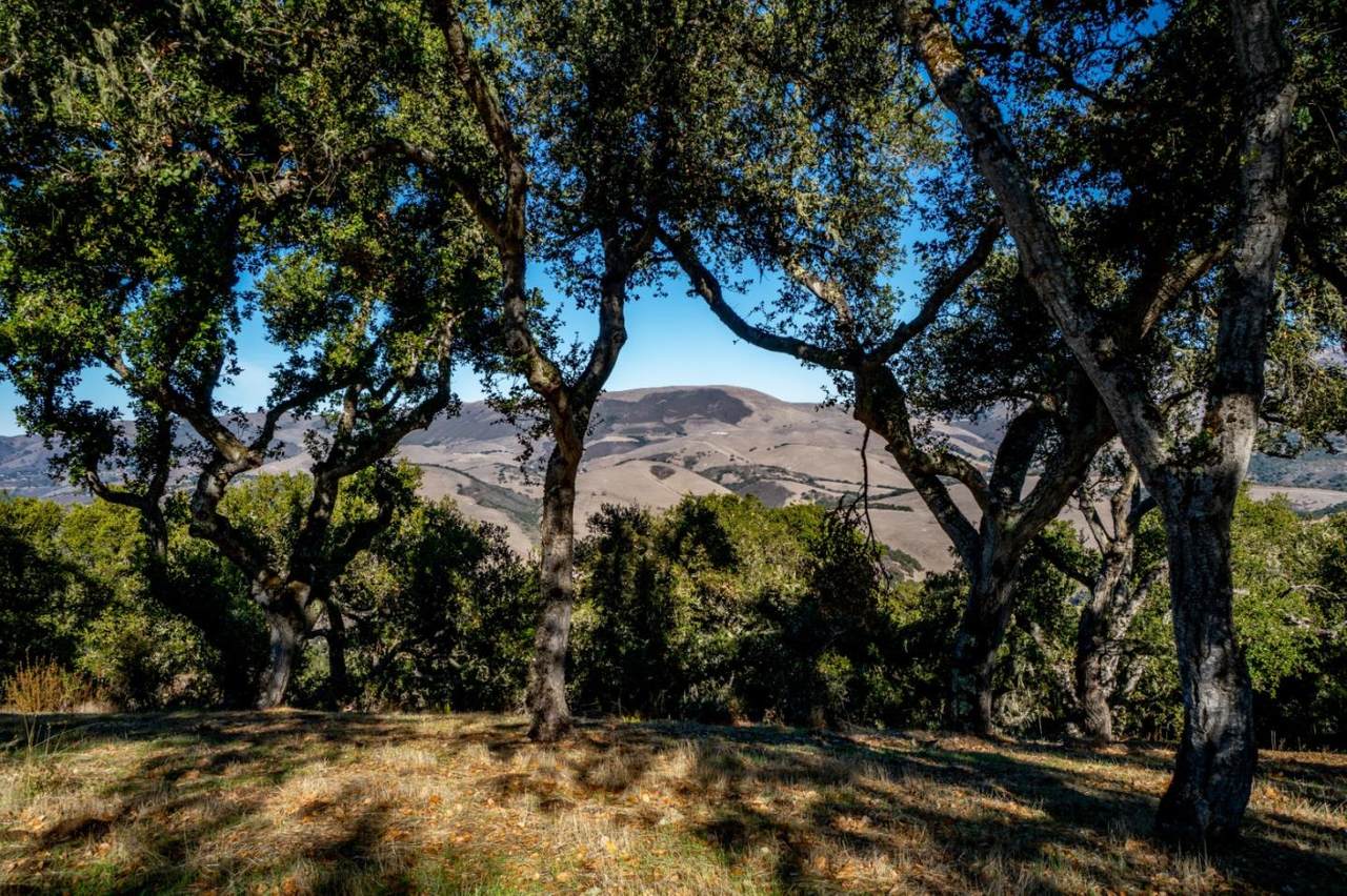 17114 Cachagua Road - Photo 1