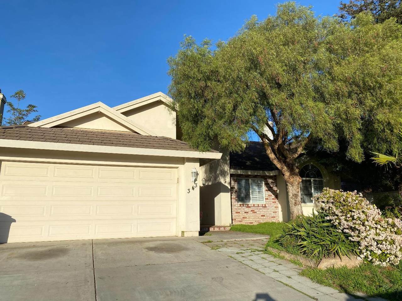 343 Westminster Drive - Photo 1