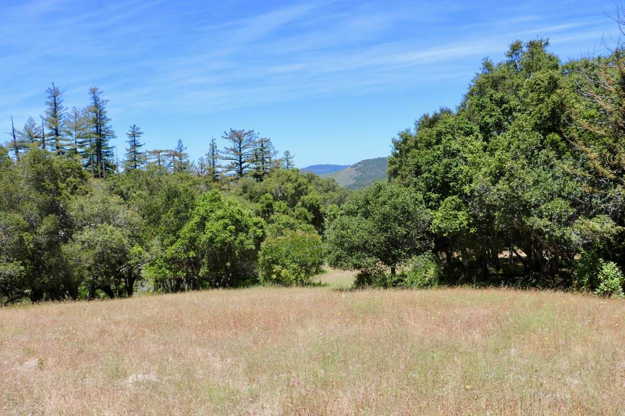 30 Potrero Trail - Photo 1