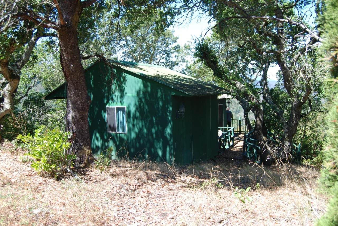 0 Uvas Road - Photo 1