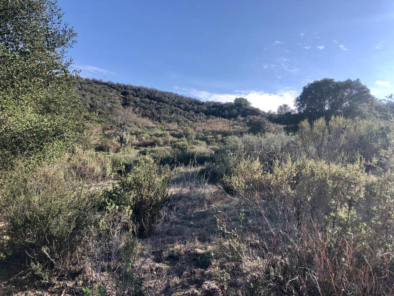 118 San Benancio Road - Photo 1