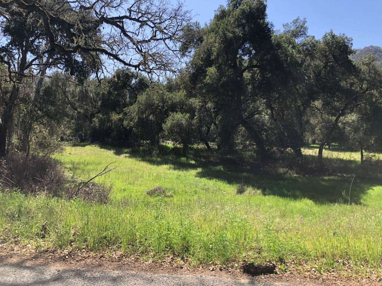 0 Cachagua Road - Photo 1