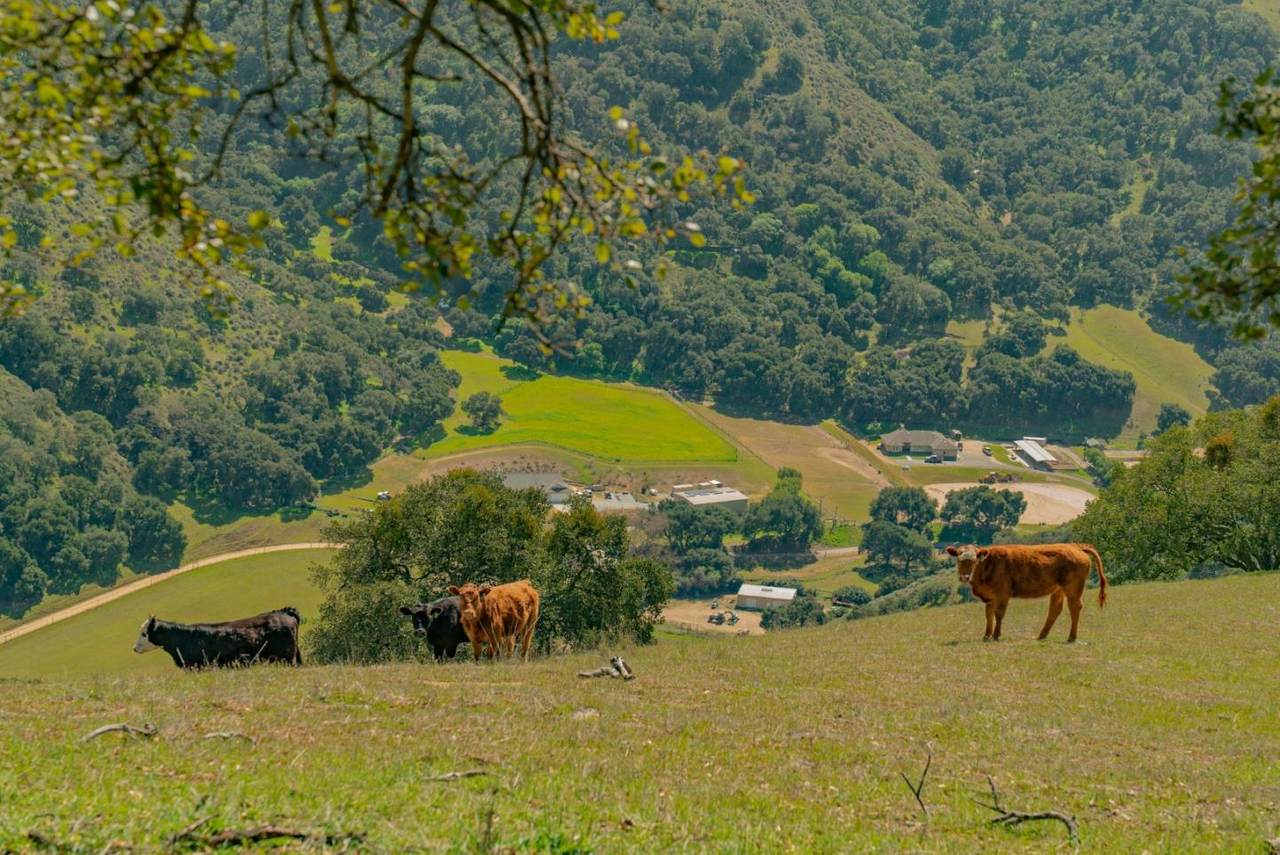 34021 Chualar Canyon Road - Photo 1