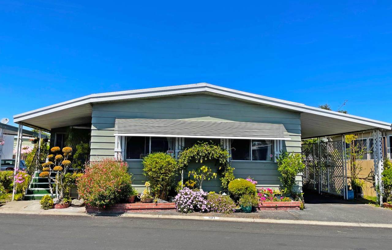 3300 Narvaez Avenue - Photo 1