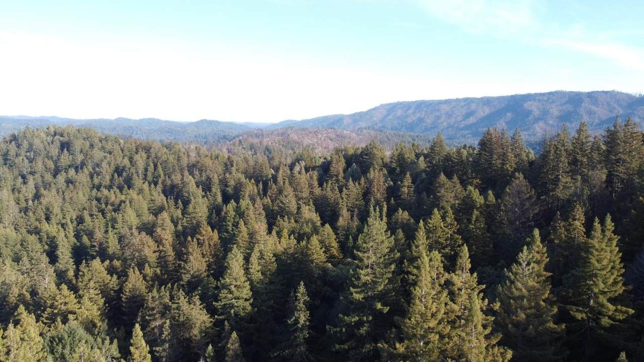 475 Stellar Way - Photo 1