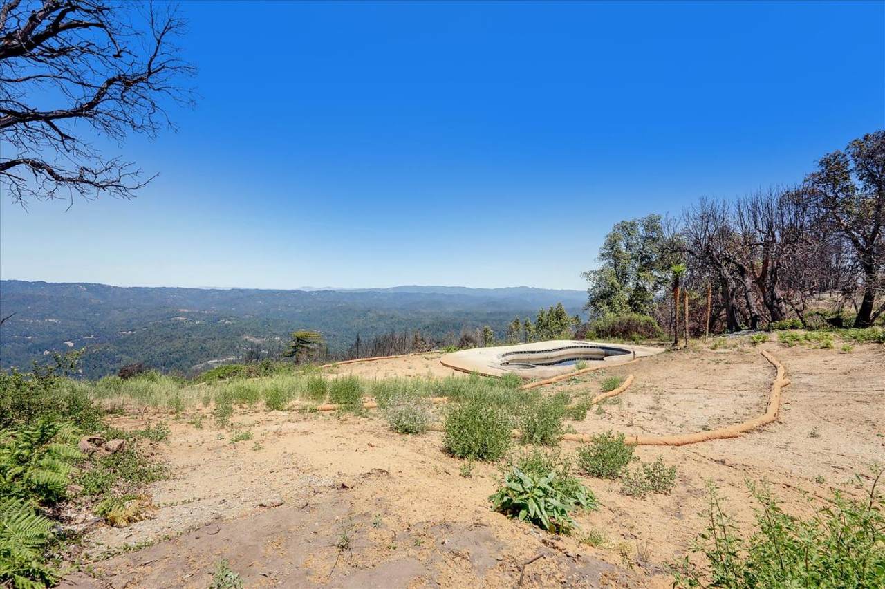230 Braemoor Drive - Photo 1