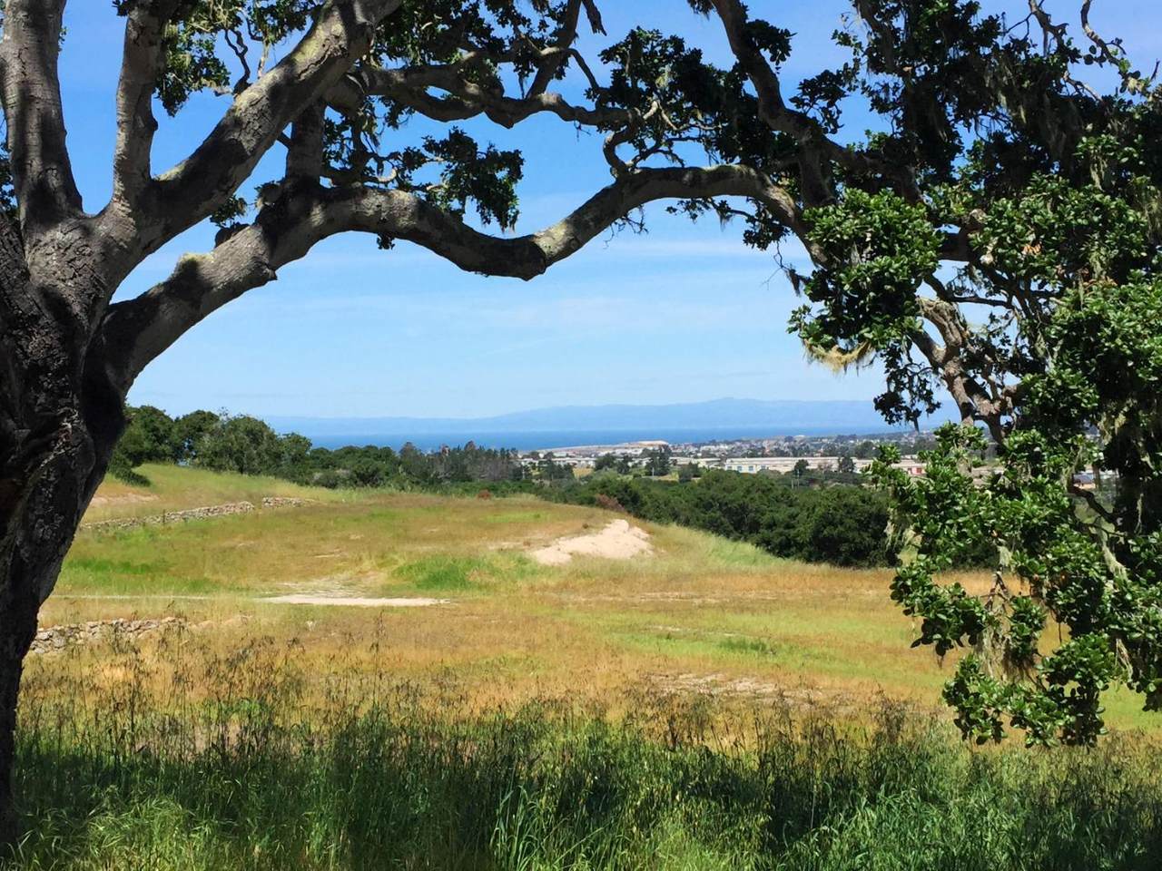 7586 Paseo Vista (Lot 78) - Photo 1