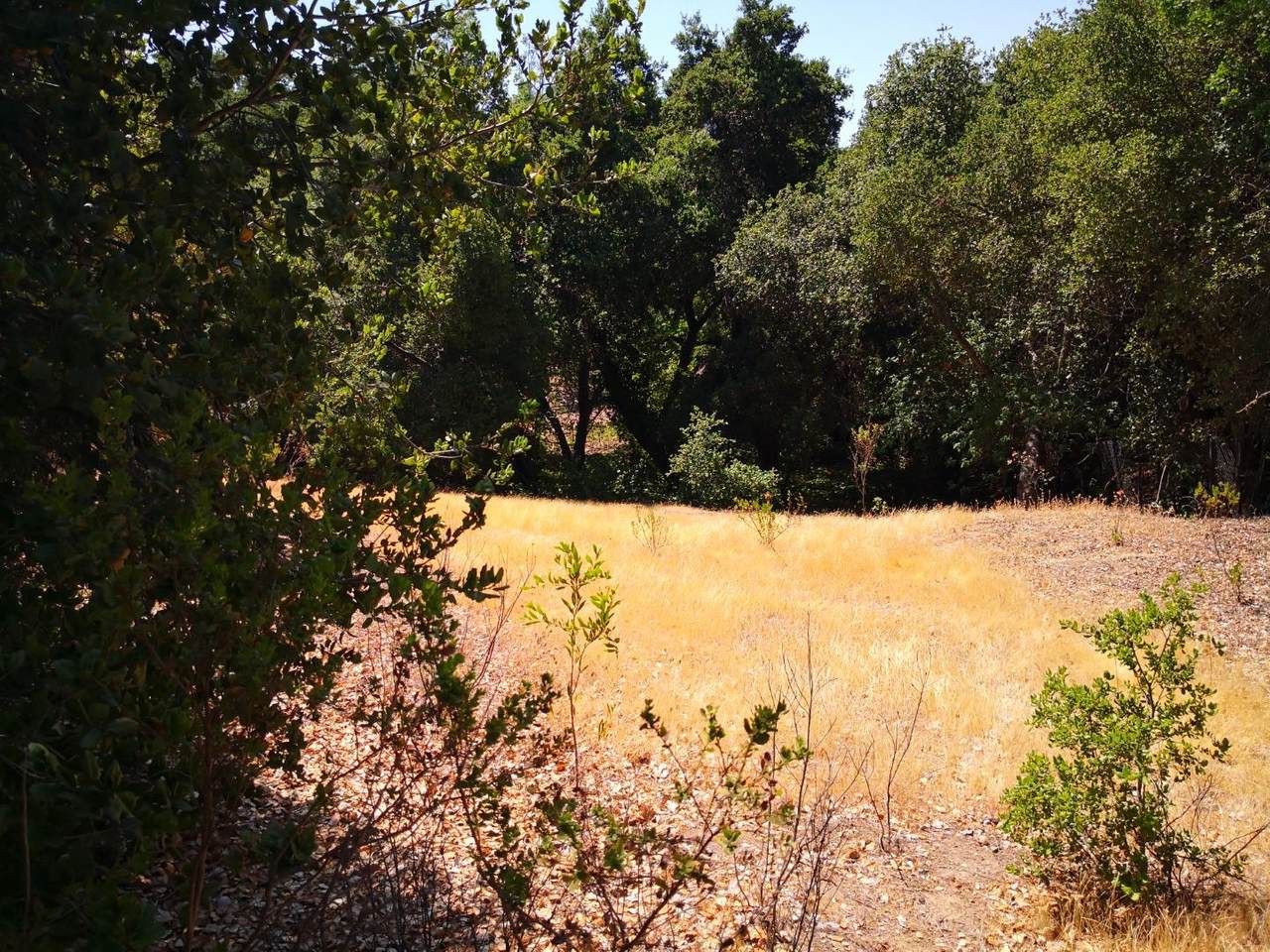 0 Niblick Avenue - Photo 1