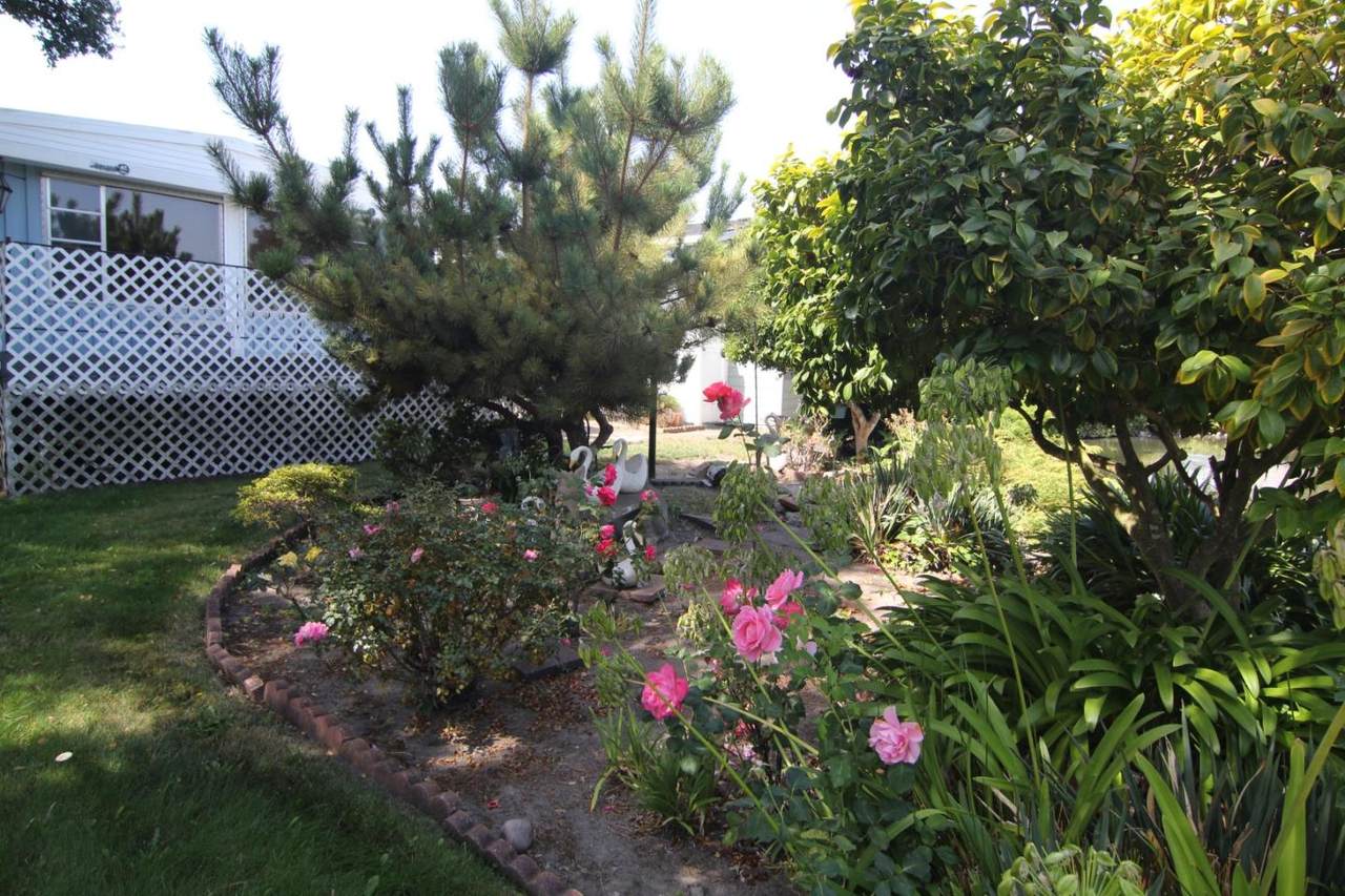 225 Mt.Hermon Road - Photo 1