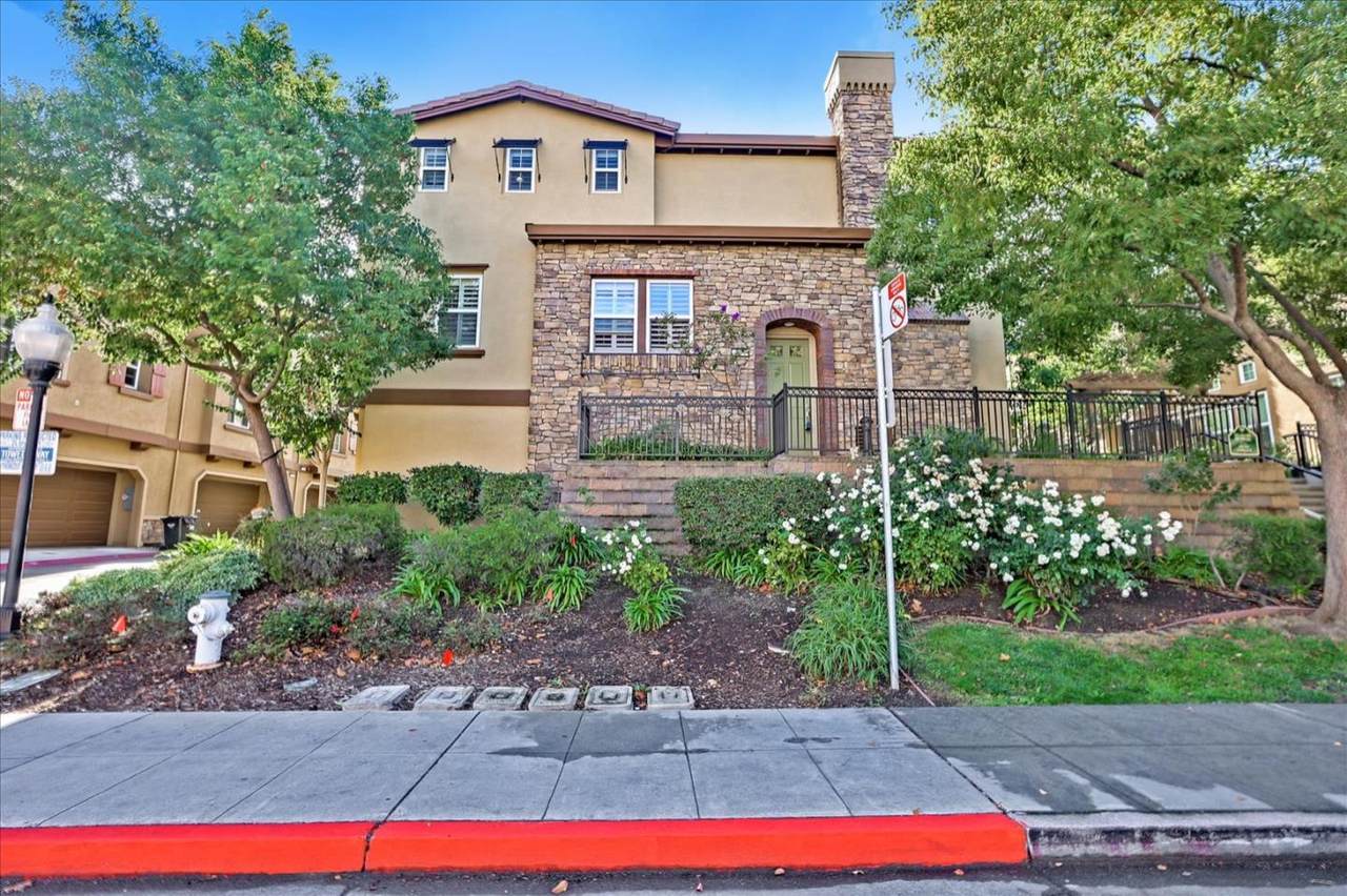 251 Ficus Terrace - Photo 1