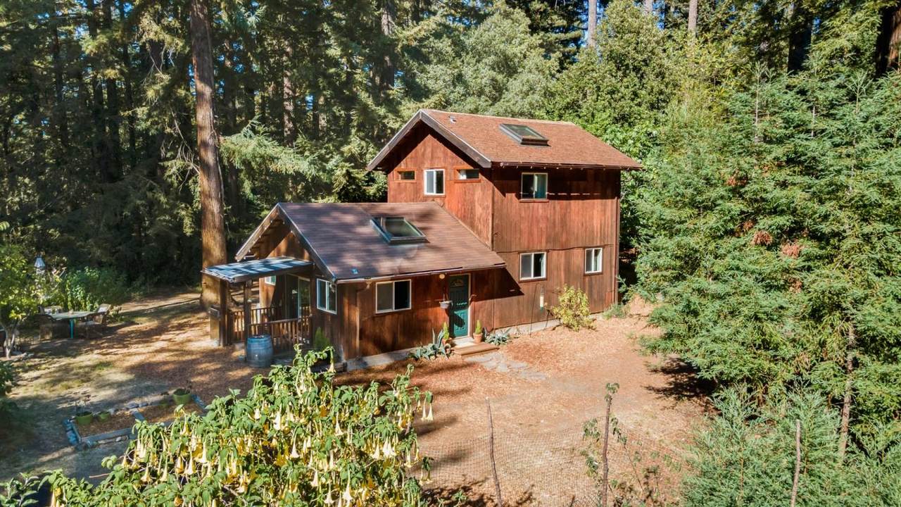 6121 Fern Flat Road - Photo 1