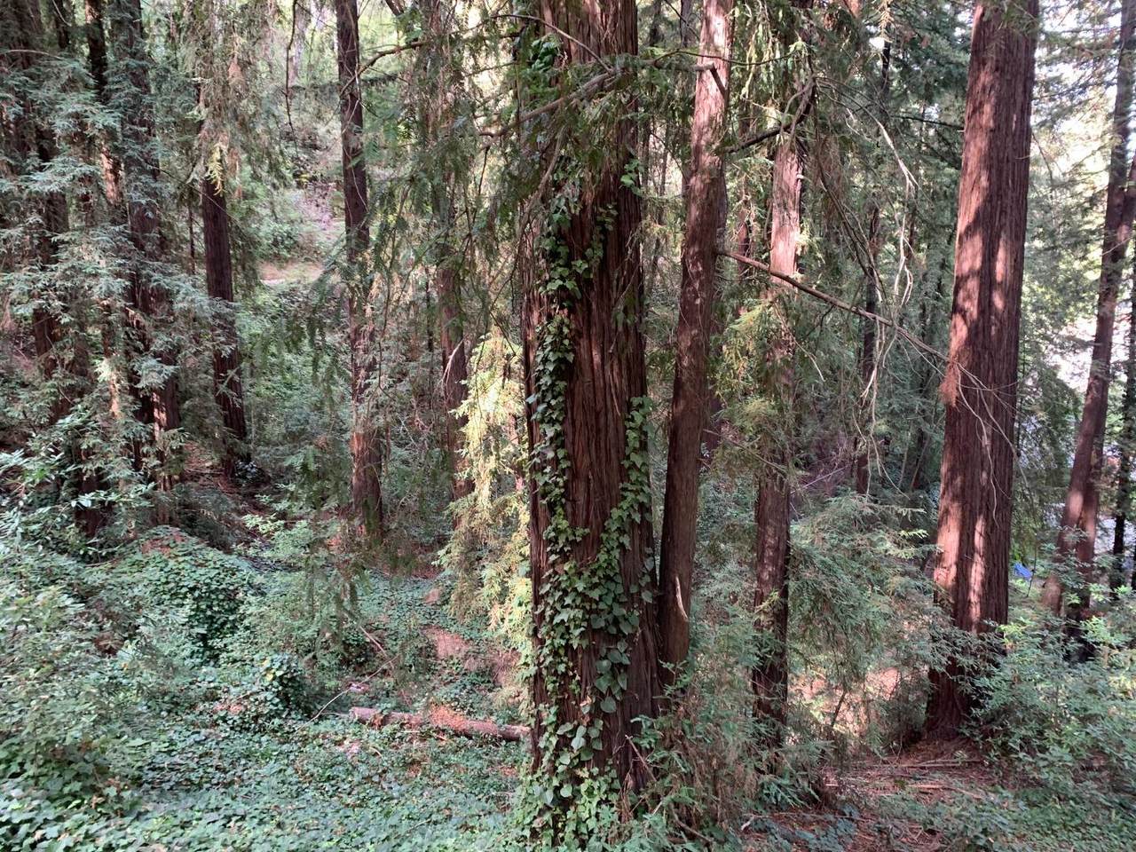 https://bt-photos.global.ssl.fastly.net/eastbay/1280_boomver_1_52347486-2.jpg