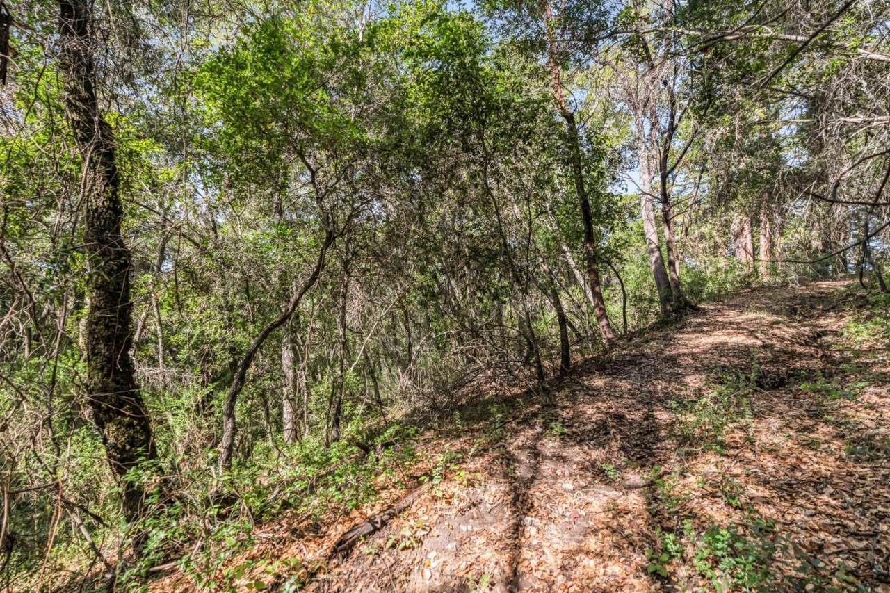 Lot 08 Madrone Avenue - Photo 1