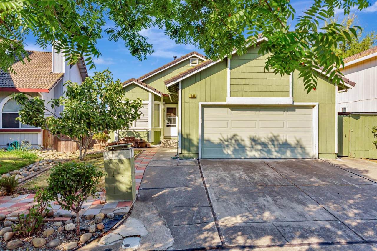 1033 Peppertree Drive - Photo 1