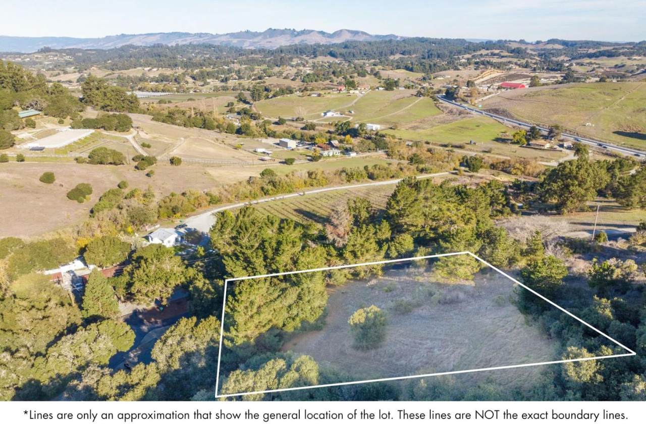 19378 Oak Ridge Drive - Photo 1