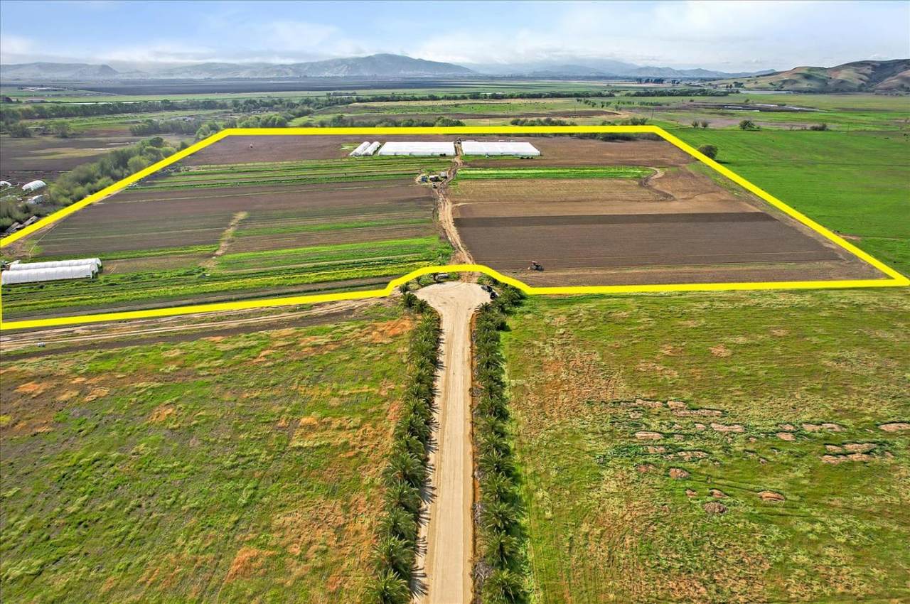 8100 Sofie Court - Photo 1