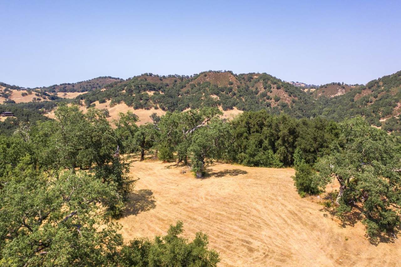 39 Arroyo Sequoia - Photo 1