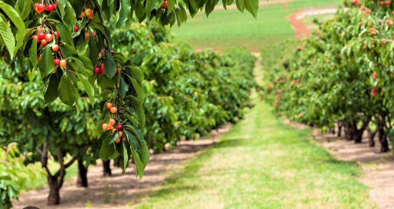 0 Apn 841 38 029 - Photo 1