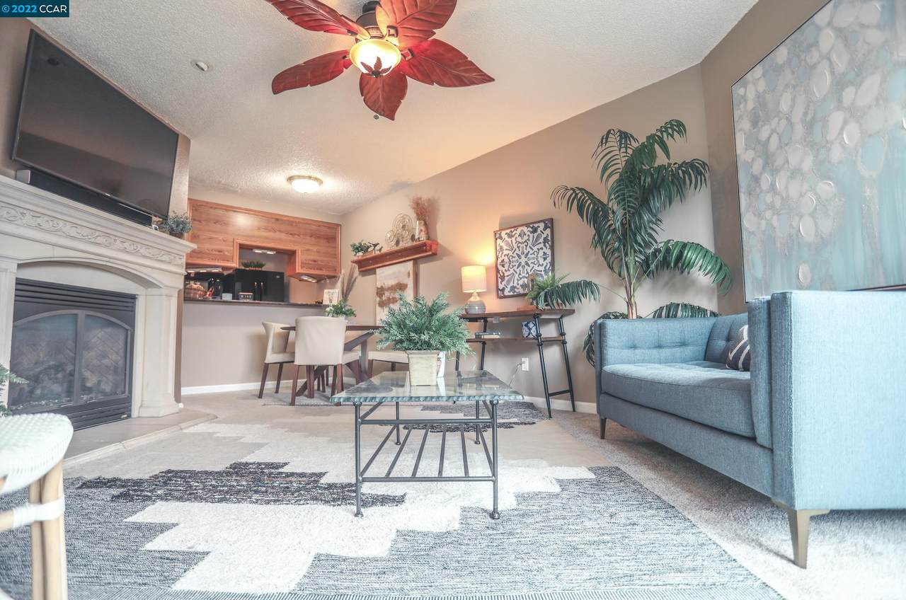 3921 Pacheco Blvd - Photo 1