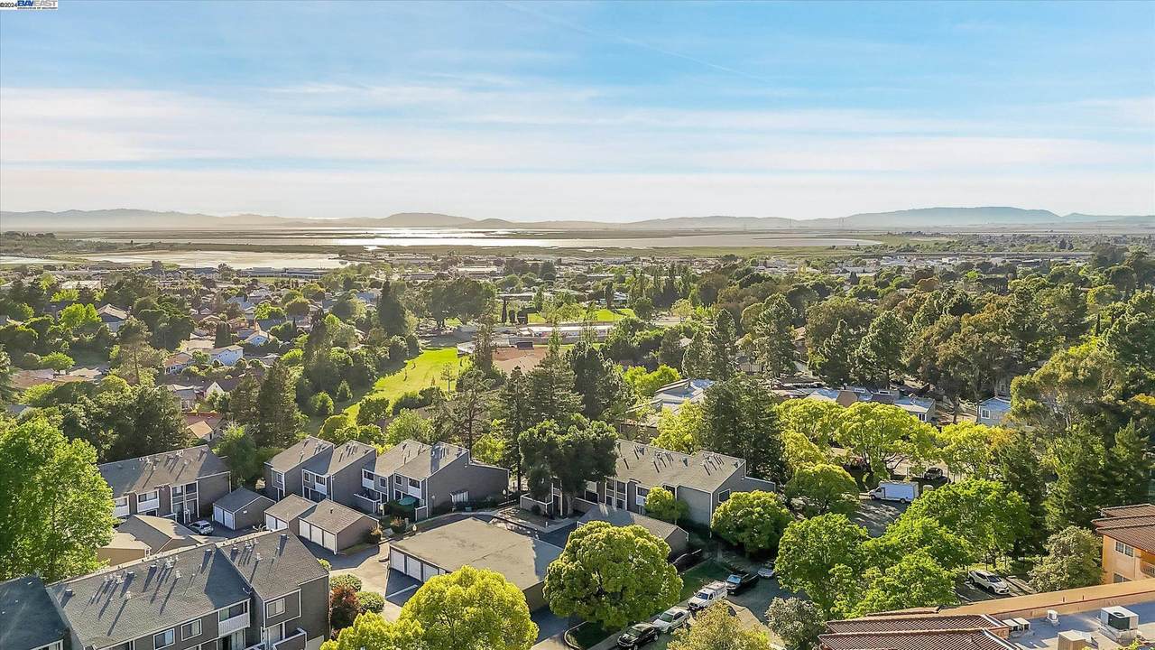 165 Oddstad Dr - Photo 1