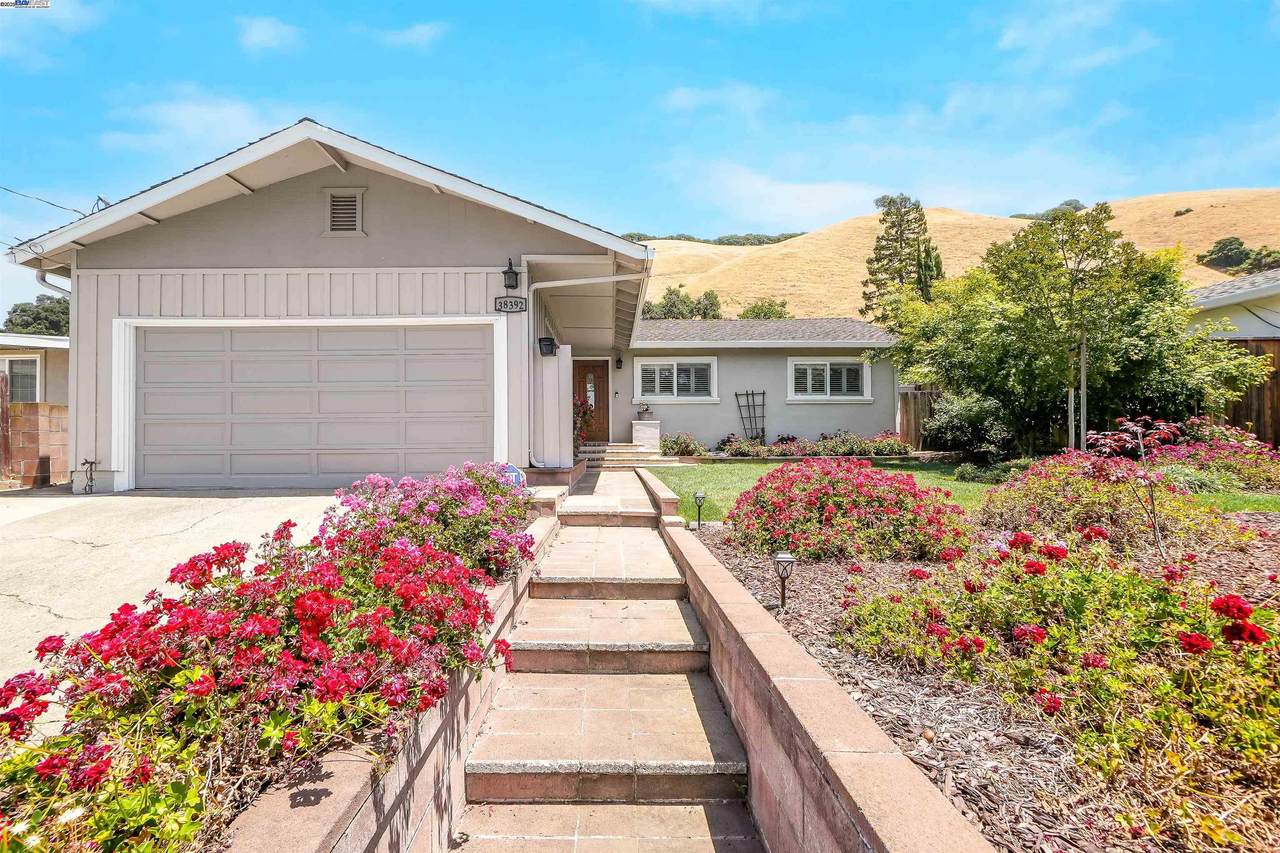 38392 Nebo Dr - Photo 1