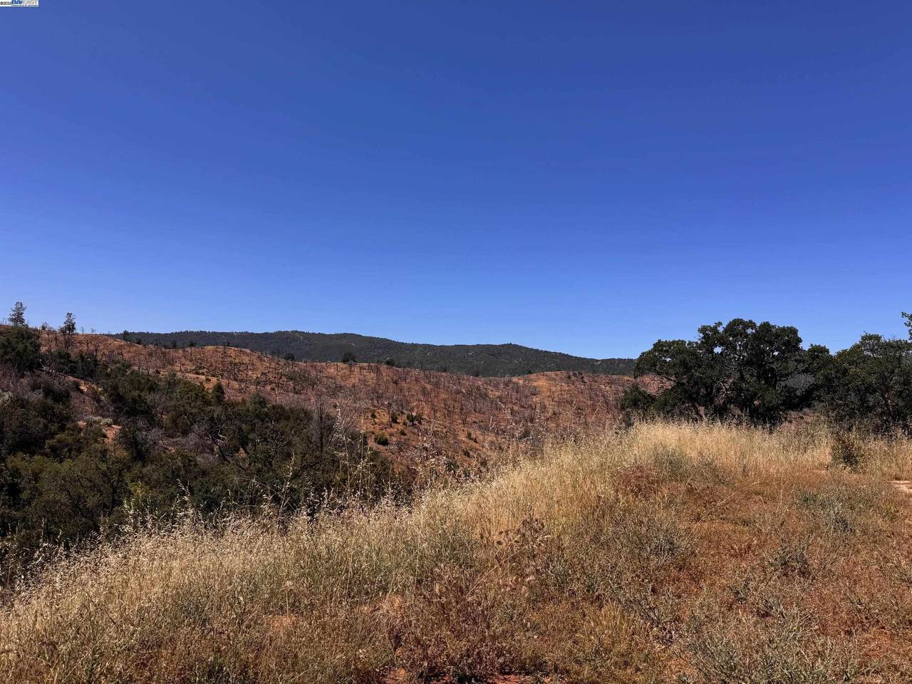 21810 Mines Rd. - Photo 1