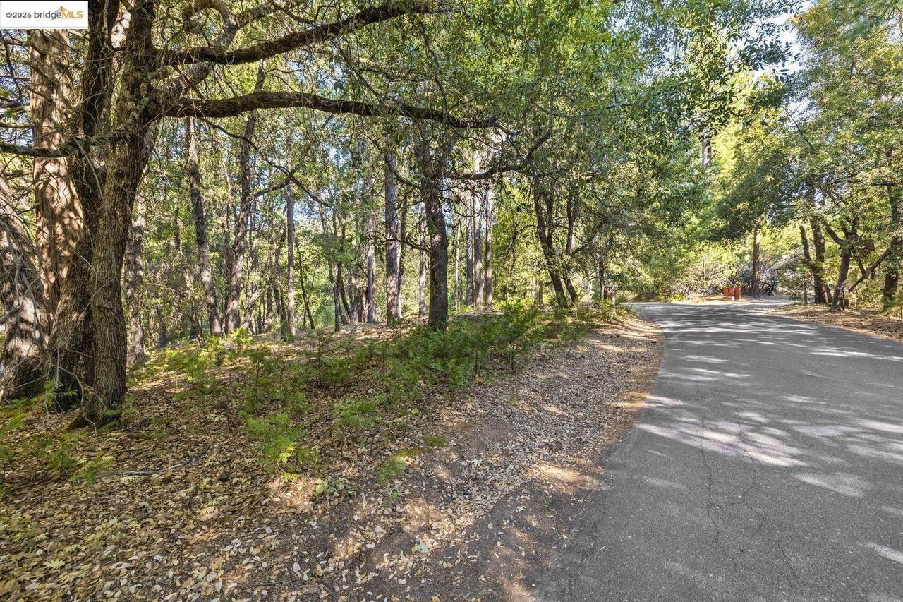 23744 Mount Elizabeth Rd - Photo 1