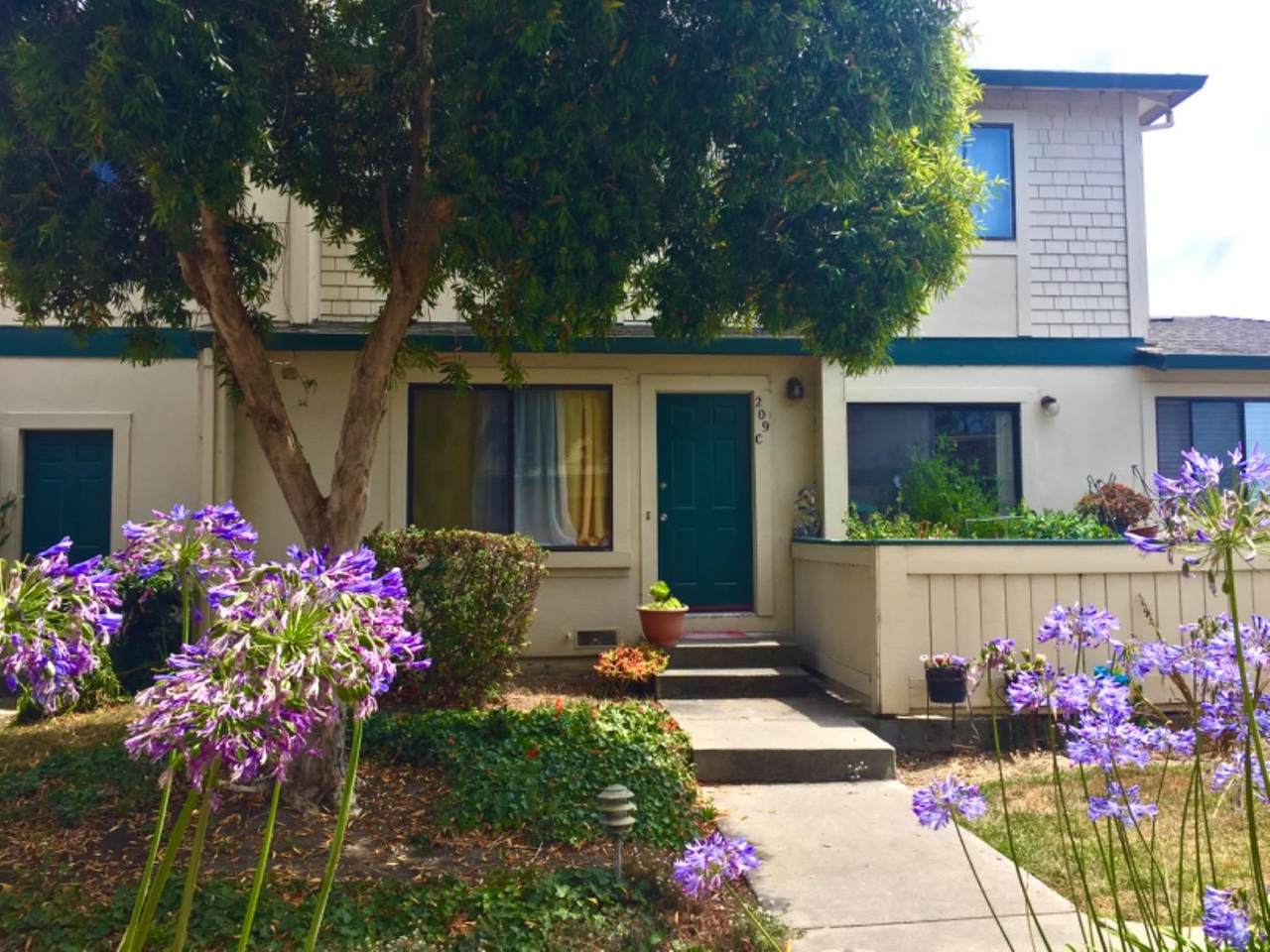 209-C Silver Leaf Drive - Photo 1