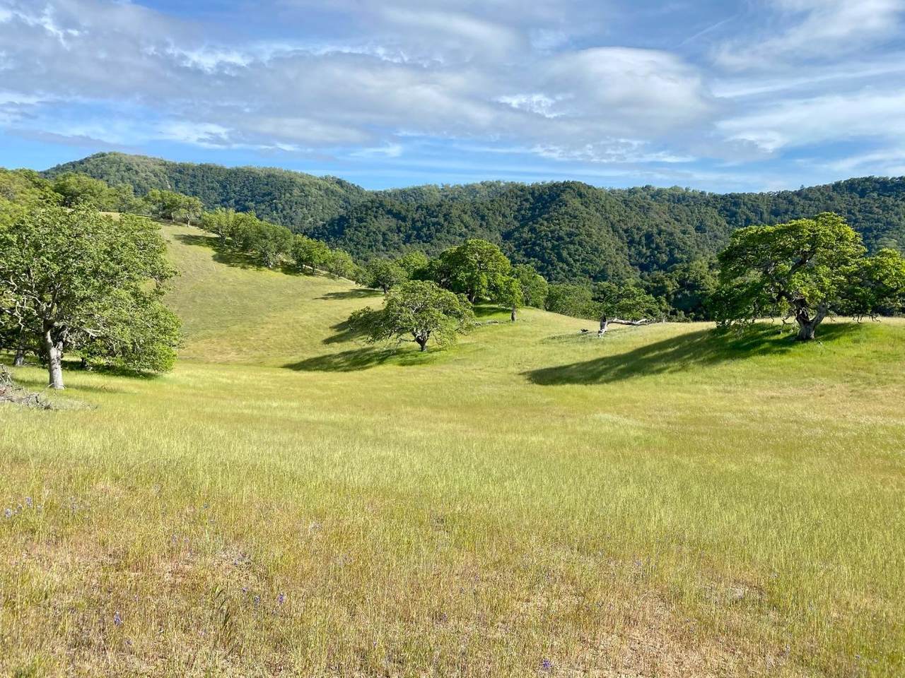 17 Black Mountain Trail - Photo 1