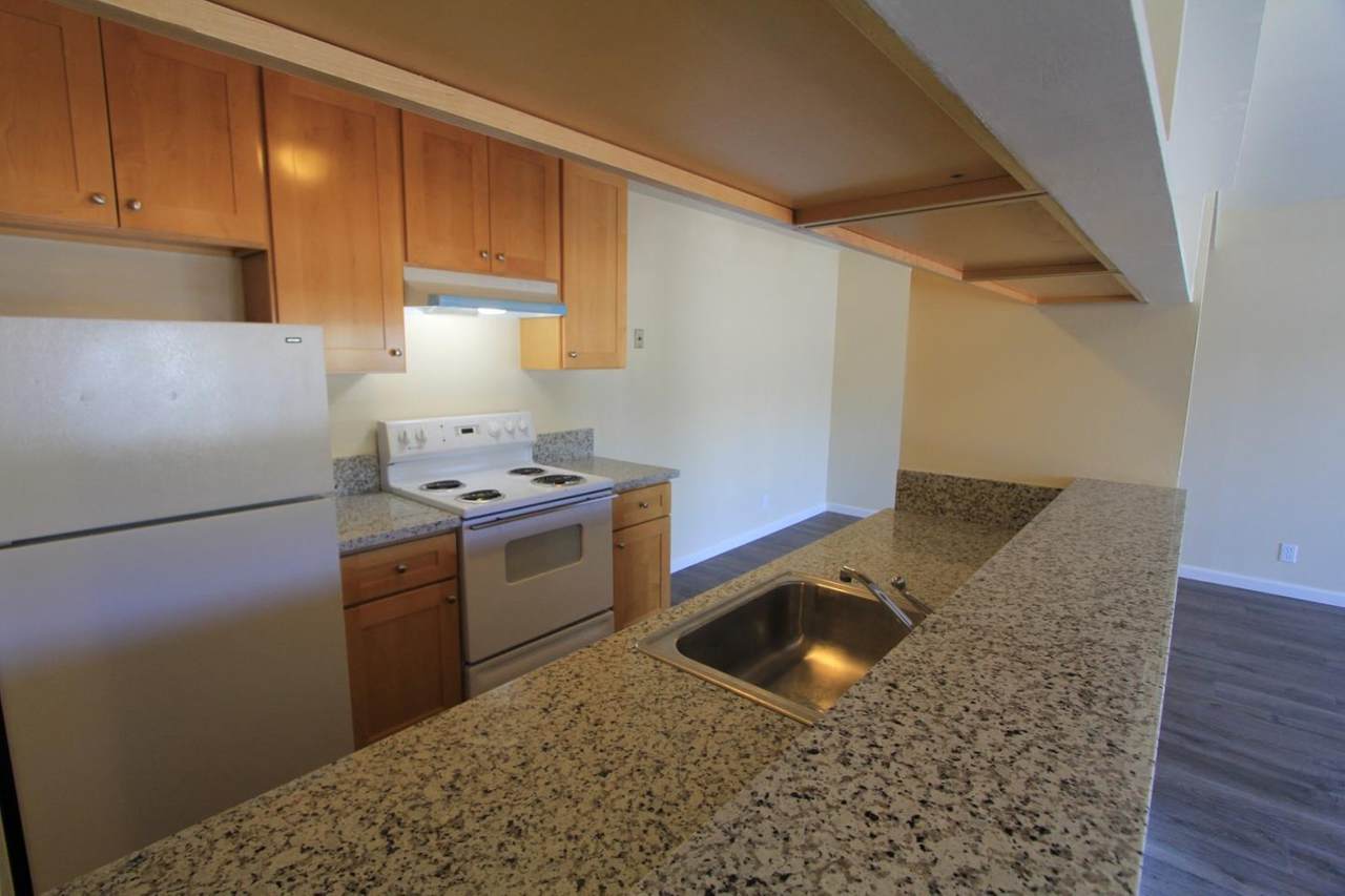 2157 Carlmont Drive - Photo 1