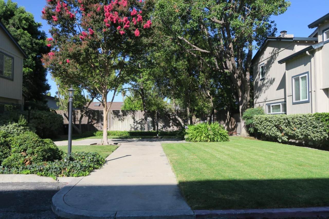 965 Branham Lane - Photo 1