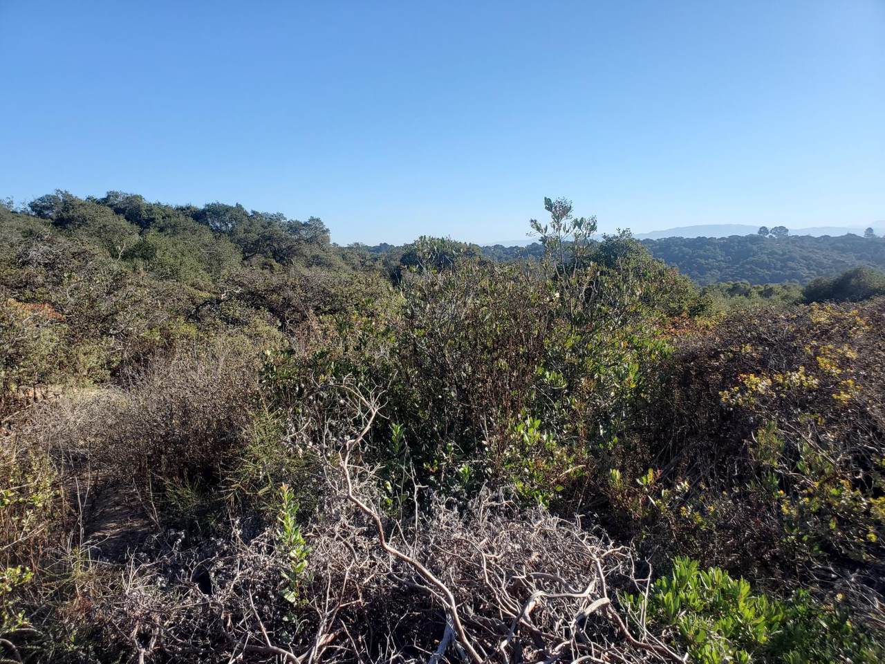 0 Mallory Canyon Road - Photo 1