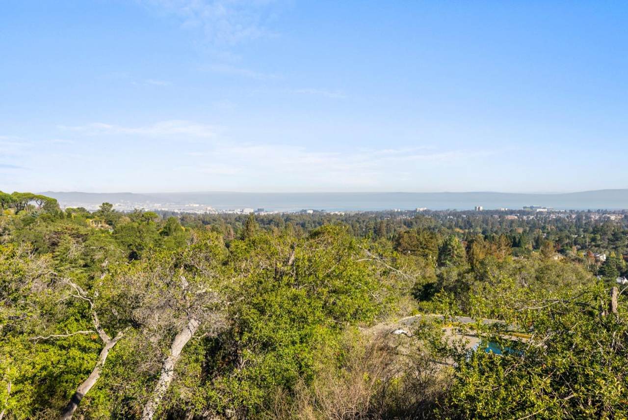 255 Pinehill Road - Photo 1
