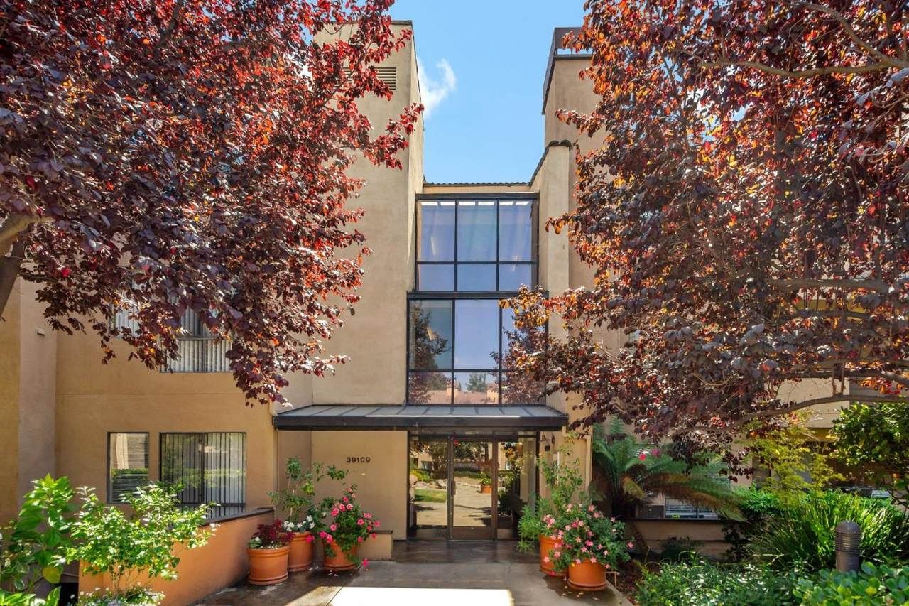 39109 Guardino Drive - Photo 1