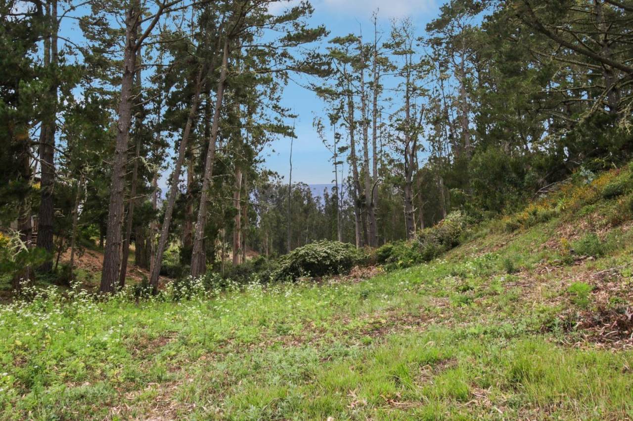 000 Lewis Avenue - Photo 1