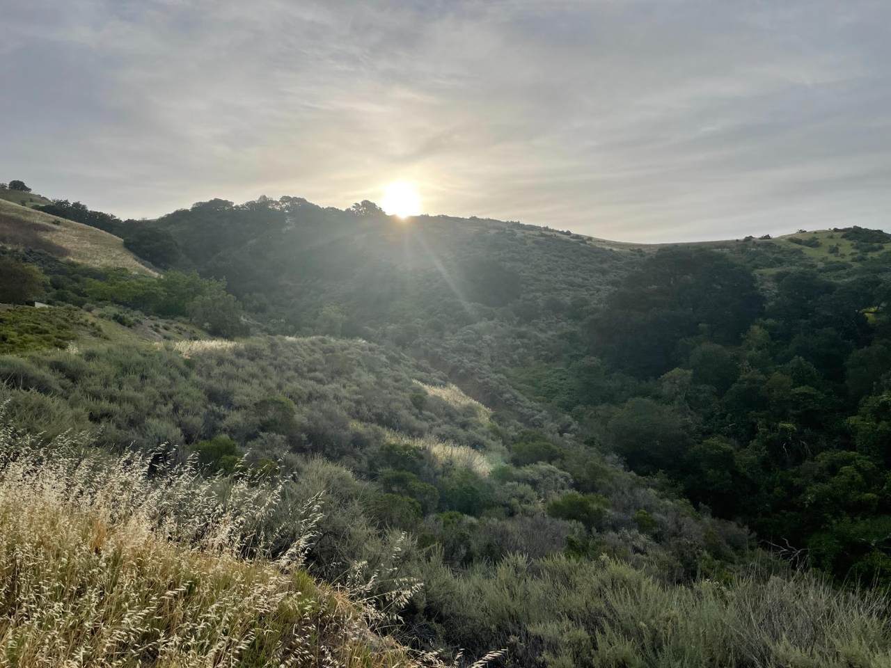 001 Boulder Drive - Photo 1