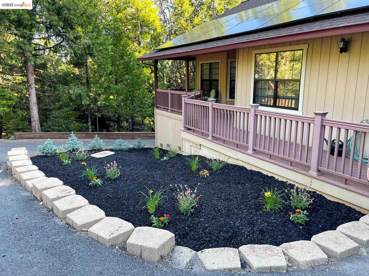 24272 Martingale Ln - Photo 1