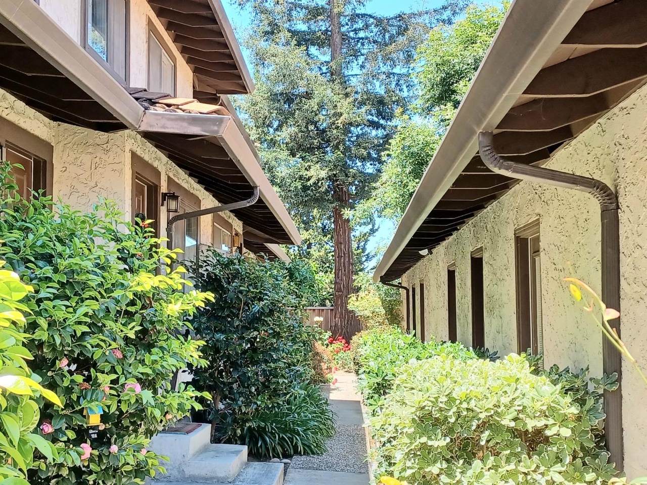 540 Campbell Avenue - Photo 1