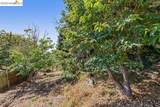 614 Cragmont Ave - Photo 4