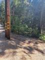  Sly Park - Photo 12