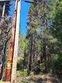  Sly Park - Photo 4