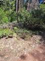  Sly Park - Photo 6