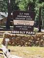  Sly Park - Photo 8