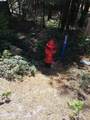  Sly Park - Photo 9