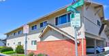 26231 Gamboa St - Photo 5