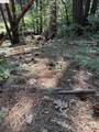 24512 Keltz Mine Rd - Photo 2