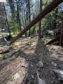 24512 Keltz Mine Rd - Photo 5