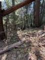 24512 Keltz Mine Rd - Photo 6